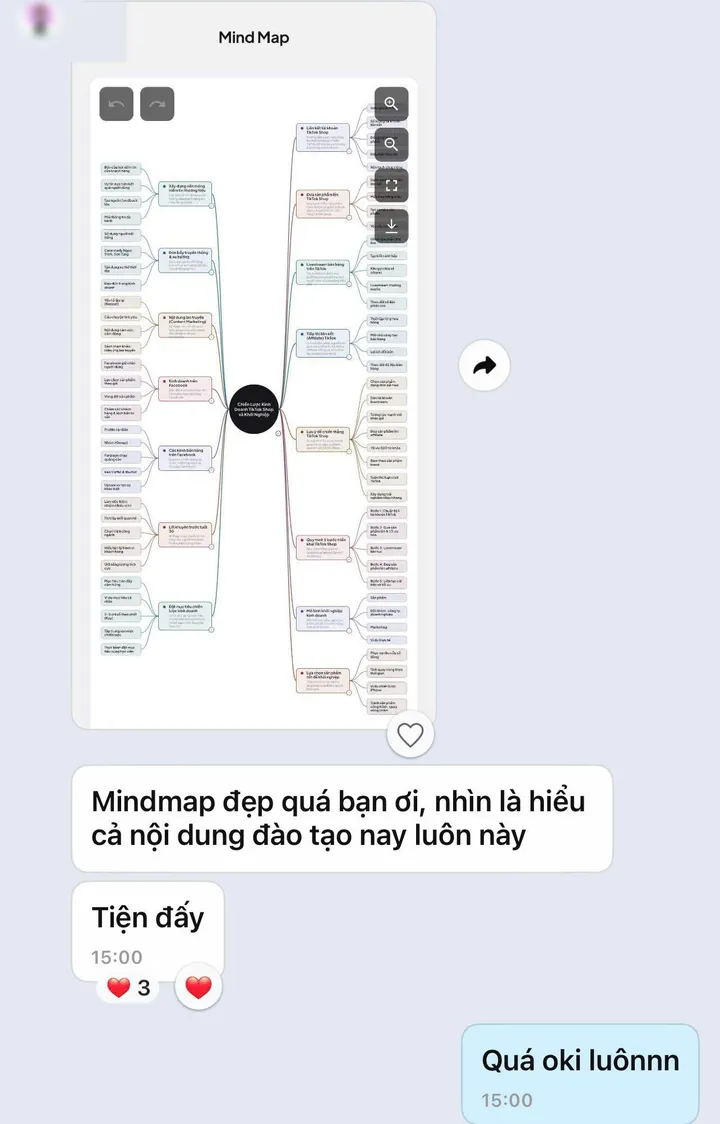 Customer message on Zalo about a Remin mind map